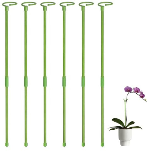 Stödpinnar för växter – 6 enkla stjälkar blommor växtstöd, trädgård enkel växtstam blomstödringar för blommor, orkidé, pion, lilja, ros