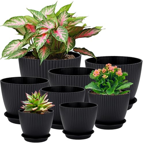 Maceta de Plástico 8 Piezas con Agujero y Platillo Redondo - Ideal para Cactus, Hierbas y Suculentas - Ideal para Oficina y Balcón - Negro