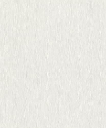 Rasch tapeter 810110 – unik tapet av fleece i ljusgrå från kollektionen Color your life – 10,05 m x 0,53 m (L x B):