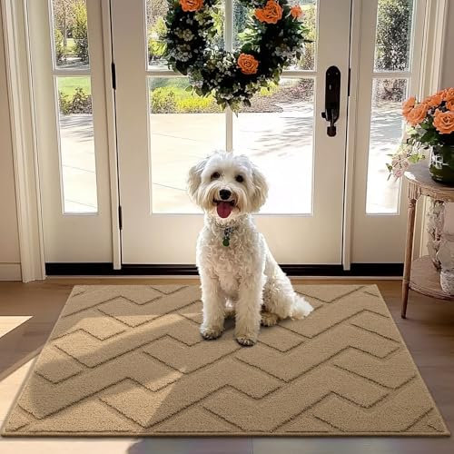 Biscpro Door Mat 80x120cm, Indoor DoorMat Washable, Doormat Indoor Dirt Trapper Non-slip, Absorbent Inside Entrance Rug Floor Mat for Entryway, Patio, Garden, laundry Room,Pets - Brown
