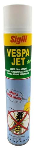 Insetticida Anti Vespe e Calabroni Spray Lunga Gittata 750 ml Azione Rapida per Esterni ed Interni