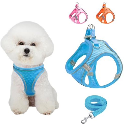 Gilet respirant pour chien avec laisse - Réglable - Réfléchissant - Doux - Rembourré - Maille respirante - Harnais de poitrine pour chiens de petite, moyenne taille et chiots - Bleu, taille M