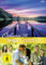 Inga Lindström Collection 34 im Schuber [3 DVDs]