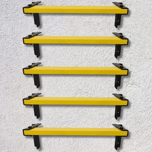 5 Gradini di Arrampicata Montati a Muro ISOP | Gradini Antiscivolo per Parete in Cemento | Scala Durevole per Casa o Pozzo | Scala in Acciaio Inossidabile Resistente alla Ruggine | Pioli certificati