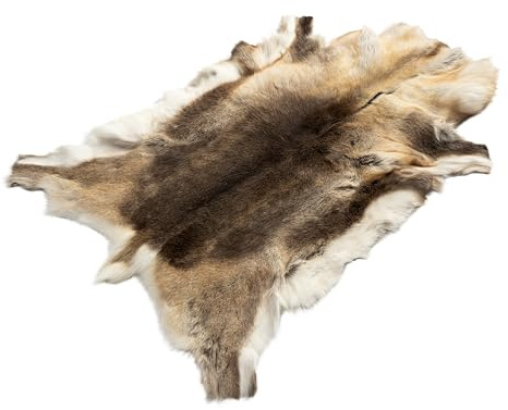 Decorating Sheepskins Premium Rentierfell Echt Finland 140-150 cm, Rentierfell Echt, weich und flauschig, Fellteppich, Natürliche Teppich Wohnzimmer, Deko Fell Schlafzimmer, Naturfell