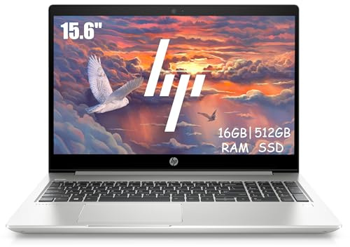 HP ProBook 450 G6 Ordinateur portable professionnel 15,6 (1366 x 768), Intel Core i5-8265U, 16 Go de RAM, SSD 512 Go, clavier QWERTY japonais, Windows 11 Pro (reconditionné)