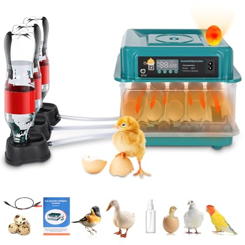 ConBlom Egg Incubators for Hatching Eggs, Goose Incubator for Eggs Automatic Turning, Humidity Control, Temperature Control, Incubators for Hatching Chicken, Duck and Quail Eggs, Holds 6-20 Eggs