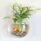 mufojyez Wall Mounted Fish Tank, Acrylic Clear Creative Aquarium with Flower Pot & Vase Combo, Easy Installation Fish Bowl Display, Home Decor for Living Room Bedroom, Ideal for Fish Lovers Transpare