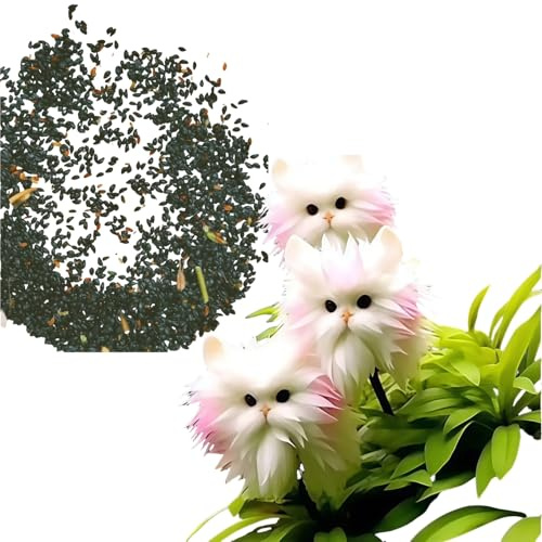 100Pcs Cat Face Flower,Indoor Plant Seeds,Flowering House Plants Indoor,or/chids Seedling Live for Home Bedrooms Study Rooms,Ca/t FA/ce Flower Seeds for in/Door,Interesting Seeds,Clean Air(Red Love)