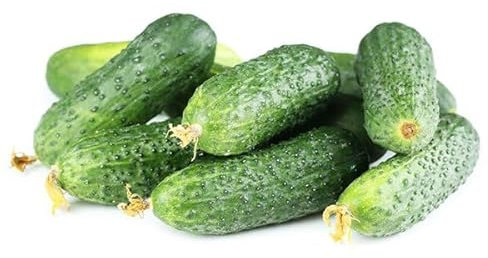 La zappa Semi di cetriolo piante per orto e giardino (Piccolo verde di Parigi)