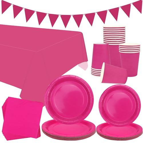 Pink Party Tableware - Serves 20, Pink Pastel Party Decoration Dinnerware Includes Plates, Cups, Napkins, Banner, Tablecloth for Graduation, Wedding, Birthday