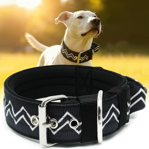 Hundhalsband stora hundar halsband kontroll – 5 cm brett halsband hund med extra tjock stoppning och handtag, professionellt skydd 50–58 cm, kolsvart