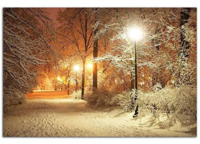 Startonight Quadro su Vetro Acrilico - Luce del Parco Invernale - Moderno Stampa 60 x 90 CM