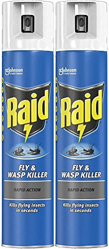 UKDeals Direct® Raid Rapid Action Fly Wasp Killer Spray Flying Insect Insecticide Aerosol 300ml (Pack of 2)