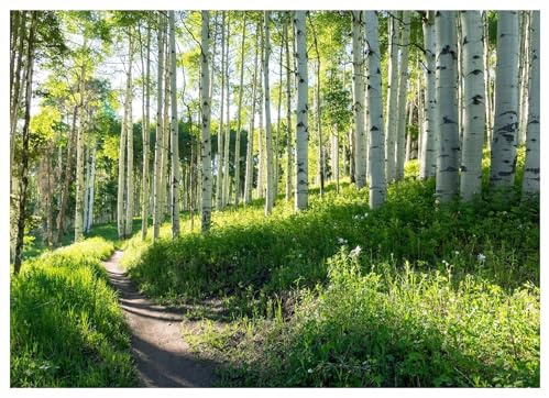 WallArena Non-Woven Fototapet löv – 150x105 cm – Fototapet 3D Effekt För Vardagsrum Och Sovrum – Modern Väggtapet I Vlies, Inkl. Lim – Tropisk Boho Natur grön gul