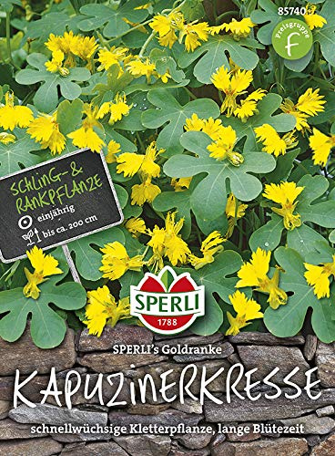 Sperli 85740 Kanarische Kresse (Kapuzinerkresse) Goldranke (Kressesamen)