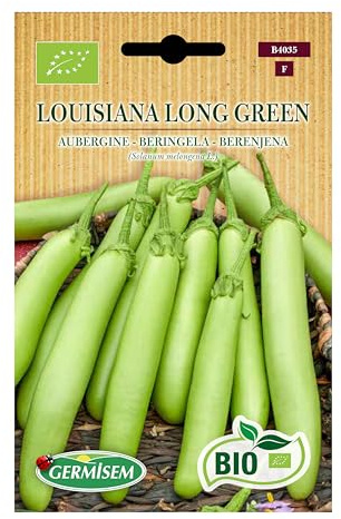 Aubergine Louisiana Long Green
