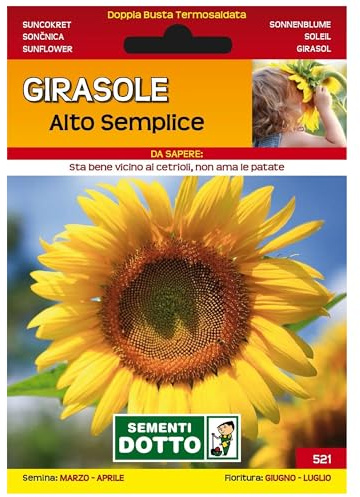 Sicignano | Semi Girasole Alto Semplice, Pianta Annuale Decorativa, Grande Infiorescenza Color Giallo Oro Busta Extra - 6 Confezioni da 6g, Pianta da Potatura, Adatta a Pieno Sole