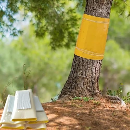 Pafnisoin Albero da Frutto Anello adesivo 25CM × 3M Trappola per mosche Anello Collant per Bruchi e Formiche