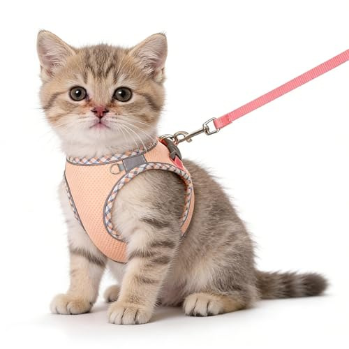 Arnés para Gatos con Correa, Rosa, XXS (2-3 kg)