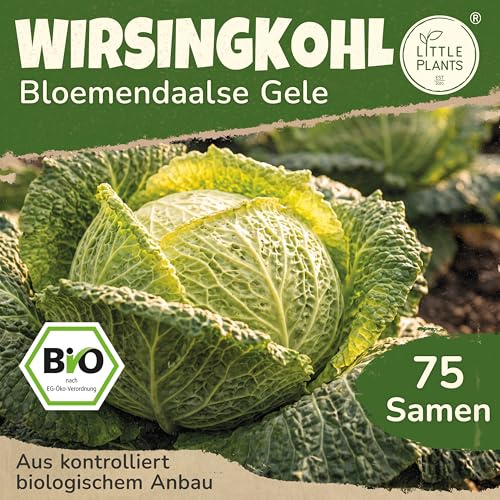 Little Plants BIO Wirsing Samen 75 Wirsingkohlsamen Welschkraut Gemüsesamen Gemüsesaatgut Samenfest für Gemüsegarten, Hochbeet, Küche, Balkon und Garten