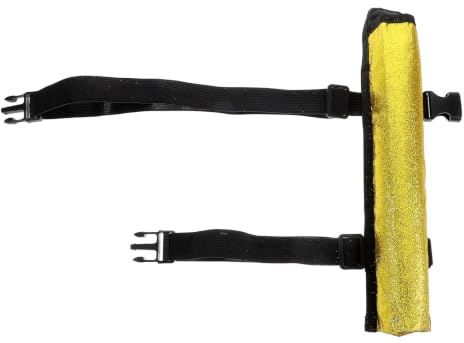 TOYANDONA Porte-Ventail Pliant en Tissu Or pour Fans de Kung-fu, Facile à Transporter et Ranger, Festivals et Séances D'entraînement
