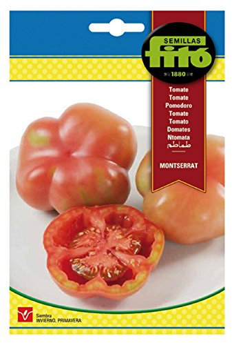 Semillas Fitó 00297 - Semillas de Tomate Montserrat