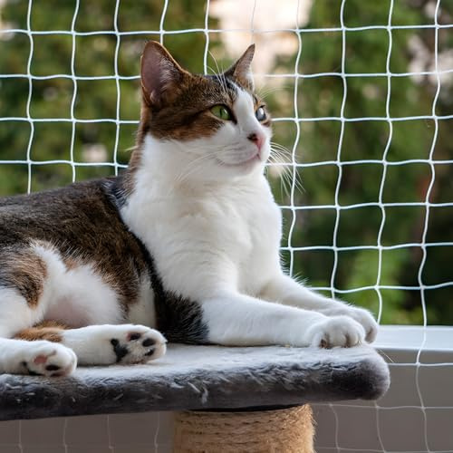 Juadnic Red para gatos para balcón, sin agujeros, 10 × 3 m, red de balcón para gatos, protección para gatos, balcón (incluye juego de fijación de 30 artículos), red de protección para gatos para