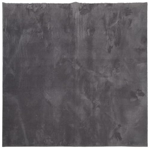 vidaXL Soft Short Pile Rug - Modern, Cozy, Non-Slip Backing, Machine Washable, Anthracite Square Area Rug - Suitable for Underfloor Heating, Perfect for Living Room, Bedroom & Office - 120x120 cm
