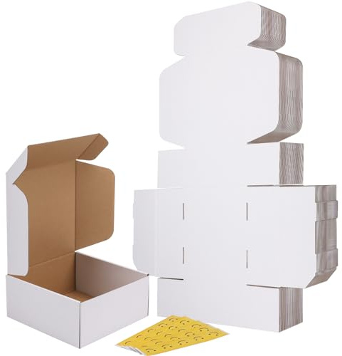 RLAVBL Scatole Cartone, Scatola per Spedizione,22.9cm x 22.9cm x 10cm, Scatola di Cartone Ondulate per Trasloco e Imballagio 25 Pezzi, Bianca