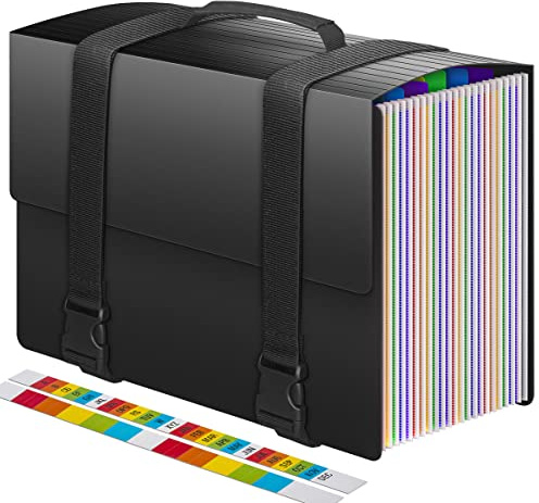 25 Pockets Expanding File Organiser Box Files Folders,Expandable Document Organiser with Handle,Concertina Files for Paperwork A4 Paper Receipt Filing Folder for Home Office School,2 x Tabs,Matte
