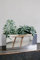 VIVANNO Blumenkasten Pflanzkasten Fensterbank-Kasten Edelstahl Acento Vertico - 17 x 40 x 17 cm