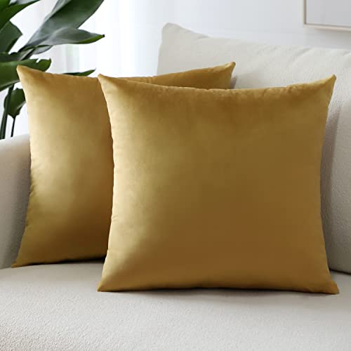 Sungeek 2er Set Samt Kissenbezüge, Dekorativ Zierkissenbezüge Weich Kissenbezug Dekokissen Sofakissen Couchkissen Deko Bezug Kissenhülle für Sofa Schlafzimmer Wohnzimmer (60x60 cm, Gold)