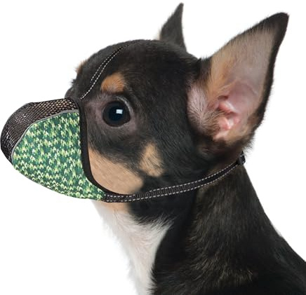 JOYPAWS Dog Muzzle for Extra Small Dogs Anti & Prevent Biting Chewing Barking Soft Air Mesh Muzzles Reflective Ajustable Full Coverage Dog Mouth Guard Cover for Grooming Scavenging Green XS
