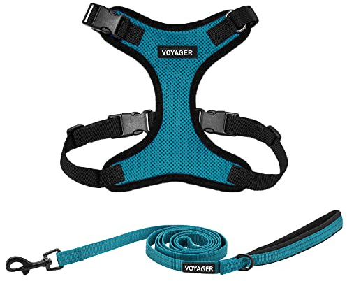 Voyager Step-in Lock - Juego de arnés para Perro con Correa Reflectante para Perro, con Mango de Neopreno, 1.5 m, para Gatos y Cachorros de Raza pequeña, Mediana y Grande, Color Turquesa/Borde Negro,