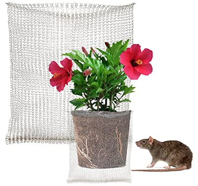 Nimomo Sac de Protection des Racines des Plantes, Lot de 4 20 X 18 Pouces Corbeilles à Souris en Acier Inoxydable Protection des Racines pour Plantes Protection des Racines