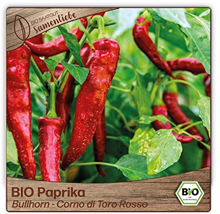 Samenliebe BIO Paprika Samen alte Sorte Bullhorn - Corno di Toro Rosso 10 Samen samenfestes Gemüse Saatgut für Gewächshaus Freiland und Balkon BIO Gemüsesamen