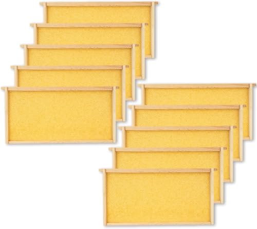 Hanured® 10 Stück Tiefbrut-Rahmen mit Wachs-Mittelwand für Bienenstöcke, Bienenwachs-beschichtete Kunststoff-Mittelwände, Imker Zubehör, 23 cm