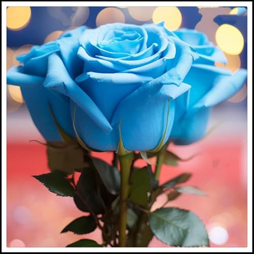 Resistente al frío - Raíces de rosas - Decoración paisajística para terraza y jardín - Vertical - -/【CXXFGFT】.-1 rizoma-D