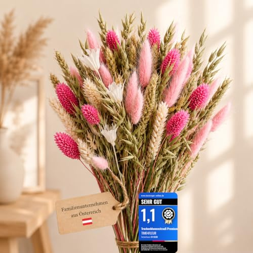 TIME4FLEUR torkade blommor handbundna – premium dekorativa blommor från Europa – ädla torkade blommor – torkad bukett för bordsdekoration, vardagsrum, som present (rosa whisper, M)