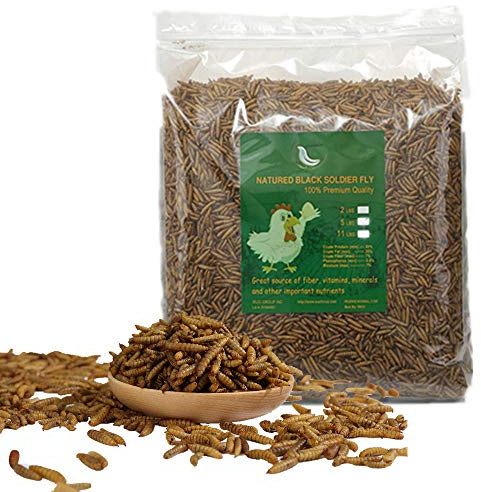 HANDPOINT Black Soldier Fly Larvae Superior to Dried Mealworms for Chickens - Non-GMO - Treats for Birds Chickens Hedgehog Hamster Fish Reptile Turtles (10LB)