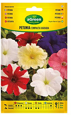 SOBRE SEMILLAS PETUNIA COMPACTA VARIADA 300678BOLSH AGREEN