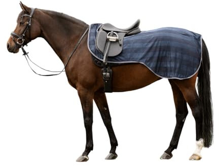 Waldhausen Fliegen-Ausreitdecke Economic, Nachtblau, VB