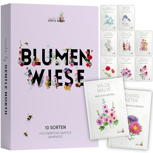Blumen Samen Set - 10 bunte Blumensamen Sorten für den Garten oder Balkon, die Bienenweide und Wildblumenwiese - Blumenwiese Samen - bunte Wildblumensamen Mischung