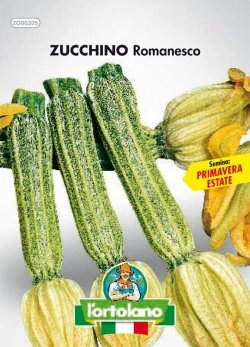 Sementi orticole di qualità l'ortolano in busta termosaldata (160 varietà) (ZUCCHINO ROMANESCO)