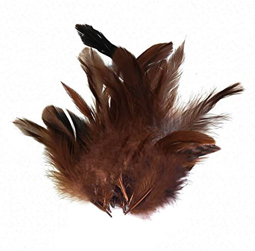 maDDma 20 Hühnerfedern 6-15cm Federn Bastelfedern Schmuckfedern Dekofedern Farbwahl