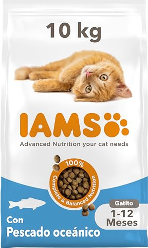 IAMS Cibo secco per gattini con pesce oceanico da 1-12 mesi, 10 kg