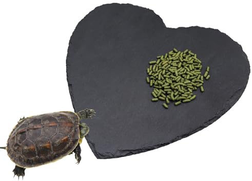 Dnoifne Plateforme de Baignade pour Reptiles – Pierre Naturelle en Forme de Cœur 20 × 20 cm – Assiette de Nourriture pour Tortue, Bol d’Alimentation pour Dragon Barbu, Caméléon, Gecko, Grenouille