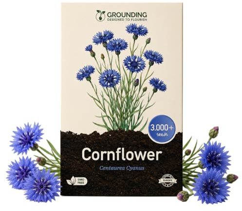 Grounding - Semi di Fiordaliso Doppio Blu (Centaurea cyanus), 3000+ semi - Fiori doppi blu intenso per aiuole e prato fiorito, ottimo da recidere - Qualità Europea