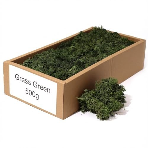 floral supplies Stabilised Reindeer Moss – Preserved Lichen for Model Scenery, Railway Landscapes, Terrariums, Floristry & Art Crafts – Soft Texture & Maintenance Free (Grass Green, 100g)